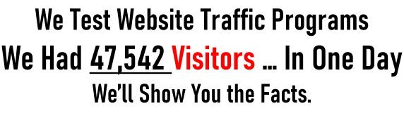 We Test Website Traffic Programs