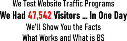 We Test Website Traffic Programs